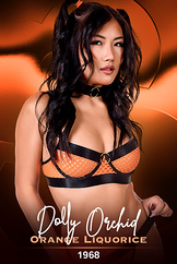 Dolly Orchid - Orange Liquorice