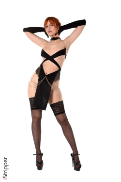 Lana Lane - Sophisticated Dress - 2